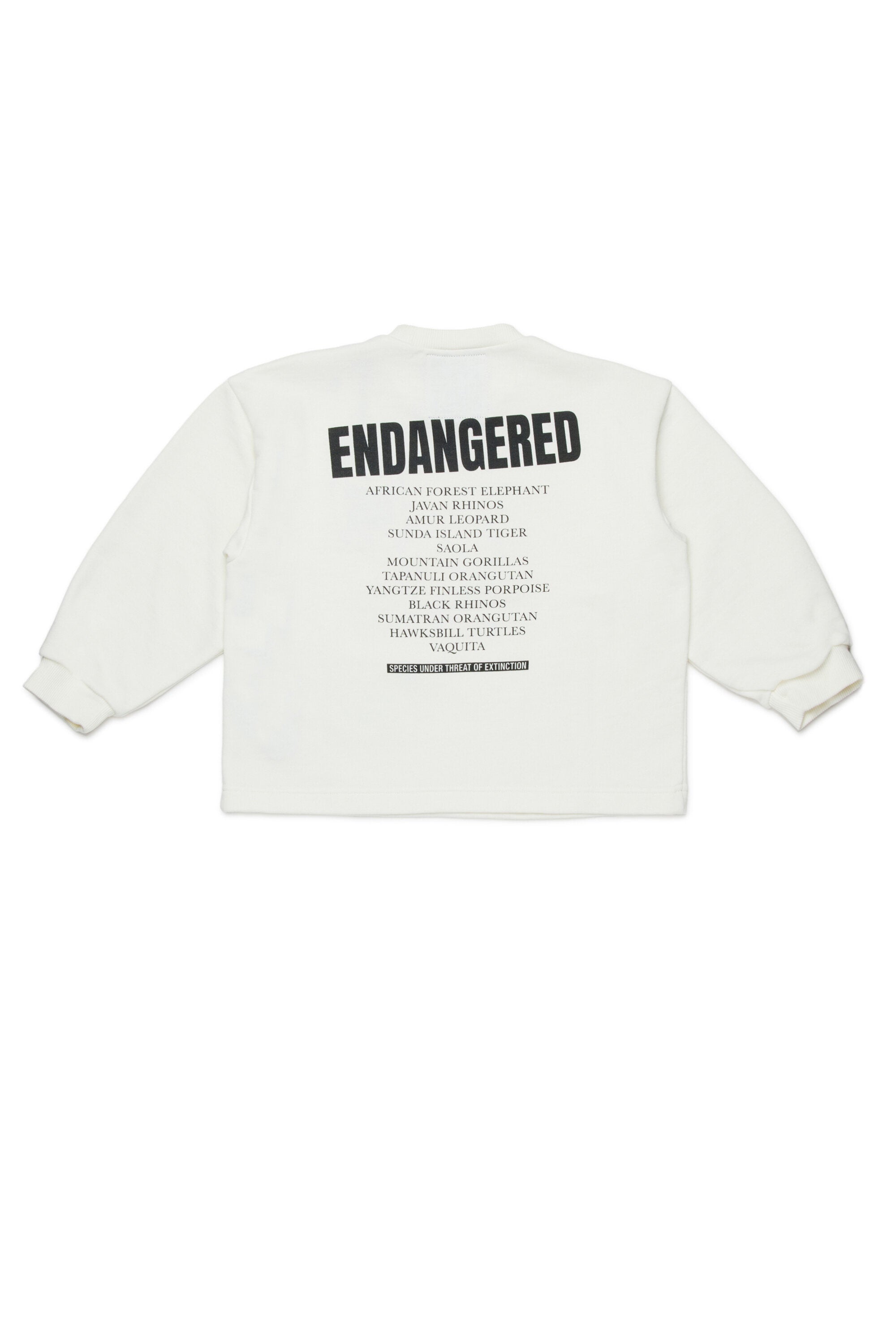 Crewneck sweatshirt with graphic print